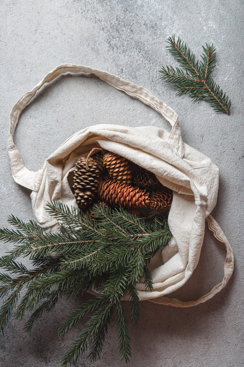 A Beginner Guide: Zero Waste Holiday Decorating